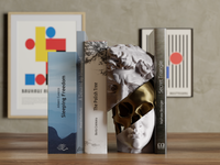 Davids Bookshelf Skull Bookend