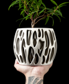 Modern Sculptural Planter with Drainage Tray