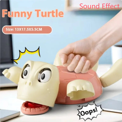 Funny Turtle Coaster