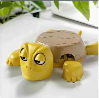 Funny Turtle Coaster