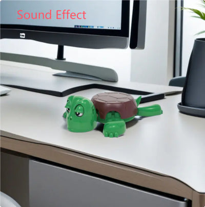 Funny Turtle Coaster